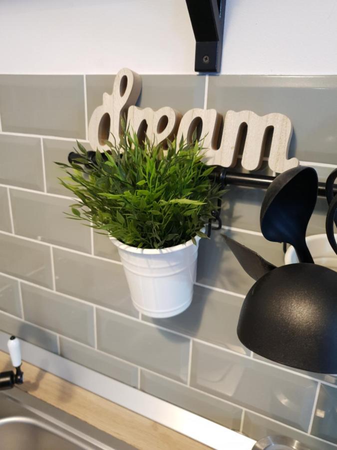Dream Apartment Petroşani Exteriér fotografie